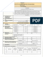 2. Resumen Ejecutivo