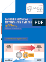 Glicose e Suas Vias Metabolicas 1 2017