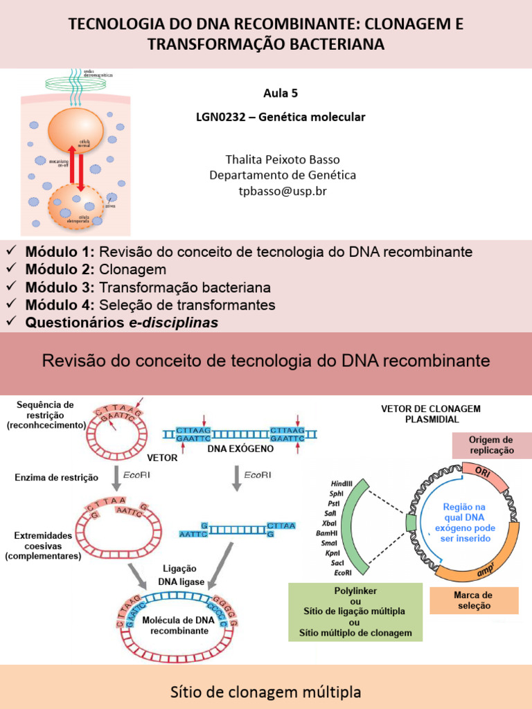 aula-5-tecnologia-do-dna-recombinante-transformacao-e-clonagem-pdf