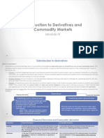 Module 4 - Introduction To Derivatives and Commodity Markets - Student