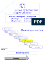 SY 2. Unit 2.6 - Embryonic Development