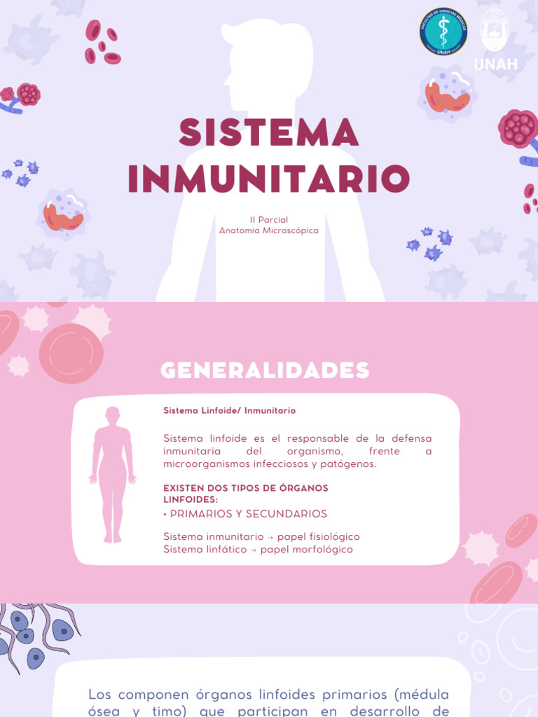 Sistema Inmune Linfático Pdf Sistema Inmune Linfocitos