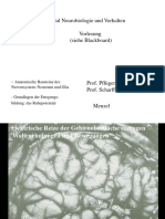 1.Neurobio-Einführung