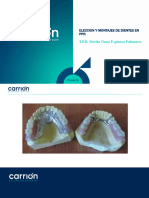 Eleccion y Montajes de Dientes en PPR