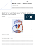 EVALUATION SCIENCES - Le Sang Et La Circulation Sanguine