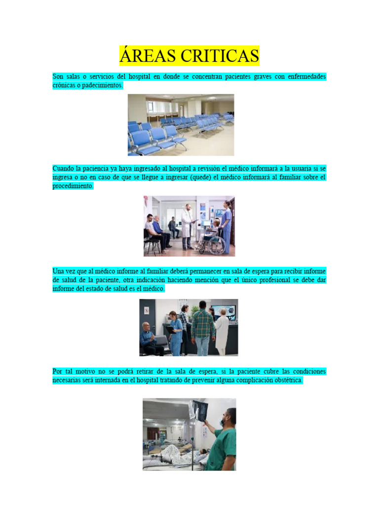Gestión en Áreas Críticas Hospitalarias | PDF