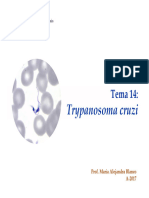 Tema 14 - Trypanosoma Cruzi