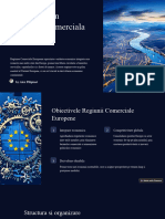 Introducere in Regiunea Comerciala Europeana: by Alex Pilipinet