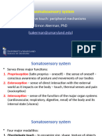 3 DN-Somatosensory PNS (1) - Tagged