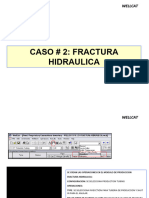 Caso 2 Fractura Hidraulica (Wellcat)