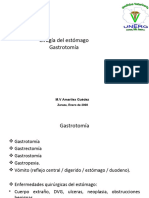 CLASE 11 Gastrotomía Amarilex Imprmir