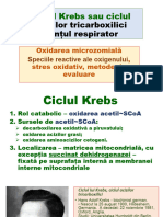 9.ciclul Krebs