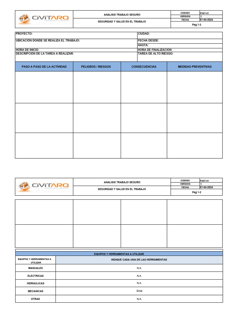 Fo-Sst-01 Formato Ats-En Blanco | PDF