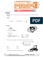 Matrices y Determinantes