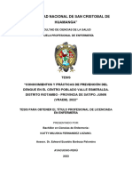 Fernandez Lozano - 2023 - "Conocimientos y Prácticas de Prevención Del Dengu