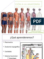Introduccion Anatomia (Planimetria y Zonas Topograficas)