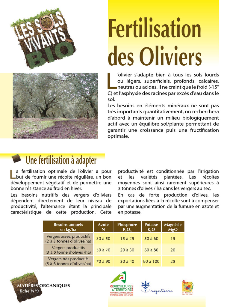 Fertilisation Optimale des Oliviers | PDF | Sol (pédologie) | Fertilisant