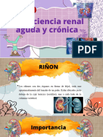 Insuficiencia Renal Aguda y Cronica