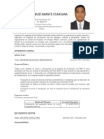 CV_BUSTAMANTEpdf