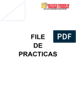 FILE PRACTICAS IPTPERU 