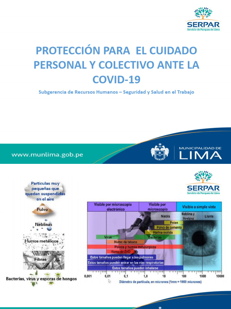 Covid 19 | PDF | Lavado de manos | Condicion cronica