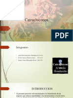 Presentacion de Proyecto Catrachiconos