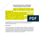 Desarrollo y crecimiento del maíz en diferentes tipos de suelo