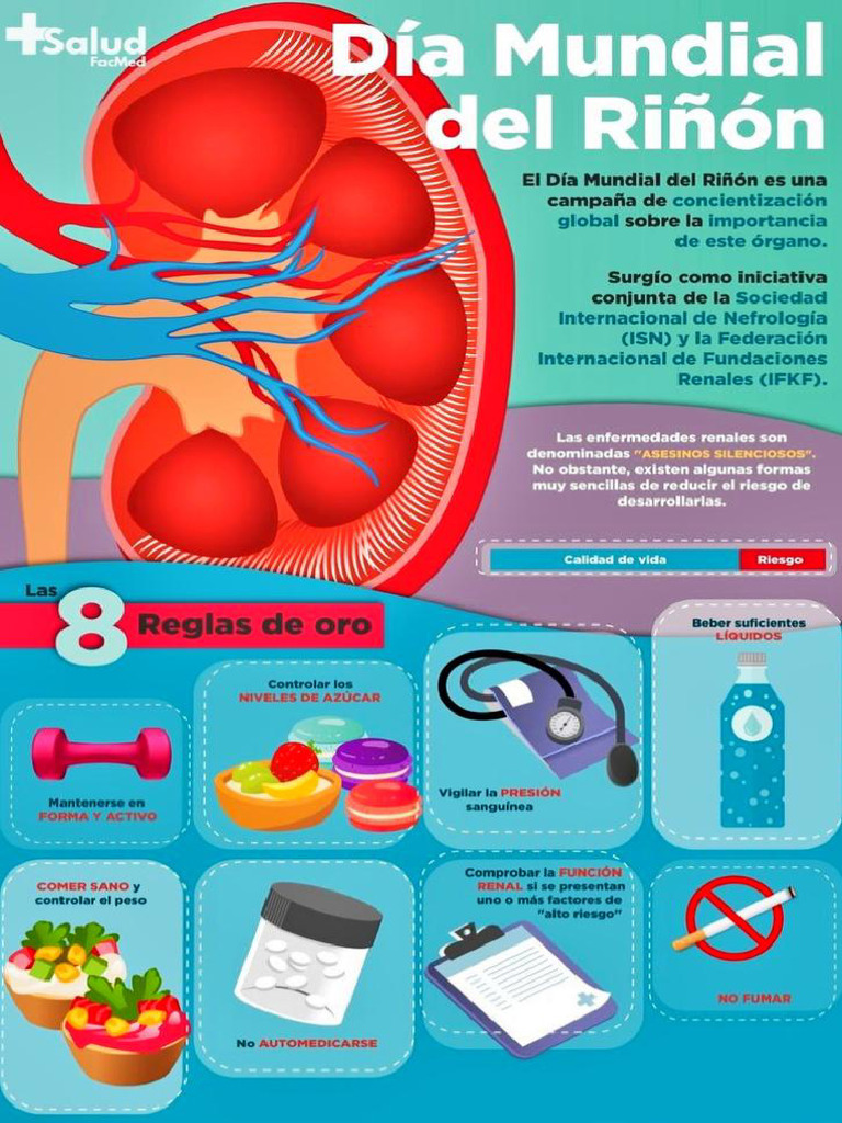 Día Mundial Del Riñón | PDF