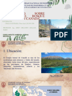 Bosque Boreal en Canada PDF