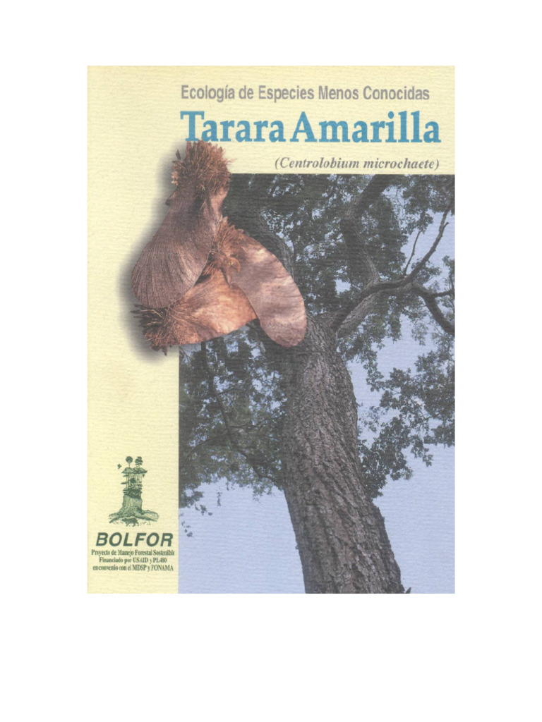 Ecologia de Especies Menos Conocidas Tarara Amarilla | PDF | Arboles ...