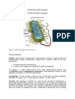Bacterial Notes 2022