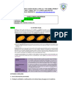 FICHA DE TEMAS Y ACTIVIDADES 8avo CC - NN.