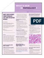 Newsletter PathologyOutlines Kidney