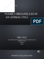 Cell Theory Organelles and Division No DNA