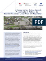 Aprender Com o Ciclone Idai e o Ciclone Kenneth para Informar A Programação de Redução de Risco de Desastres A Longo Prazo em Moçambique