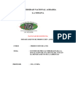 Planificacion de Pollos de Carne