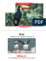 Birds PDF