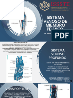 Sistema Venoso de Miembro Pelvico