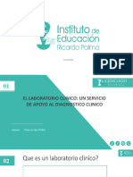 PPT PROYECTO vlm