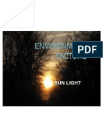 04.environment Factors - Light