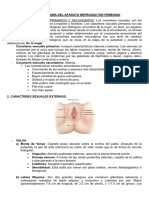 Anatomía Del SRF