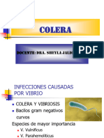 Colera: Docente: Dra. Sheyla Jaldin A