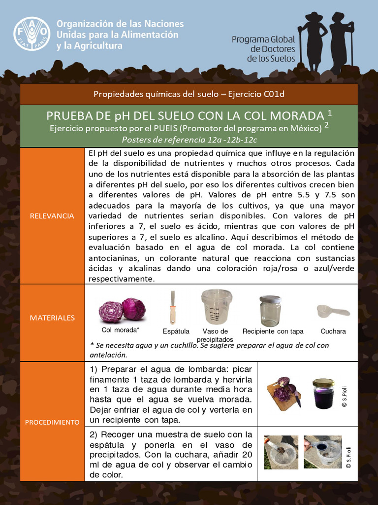 Prueba de pH del Suelo con Col Morada | PDF | Ph | Agua