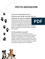 PROYECTO ASOCIACION CANINA