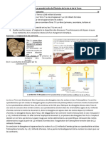 Corrigé Devoir 1