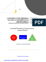 PPT_premisa_factica_capsulas