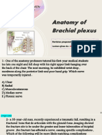 Anatomy of Brachial Plexus -- Hussein 2028