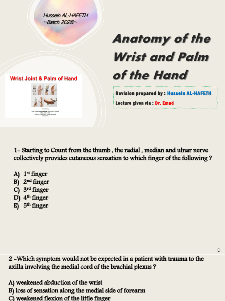 Wrist and Palm Anatomy Overview | PDF | Thumb | Hand