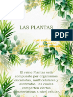 Presentación1, LAS PLANTAS