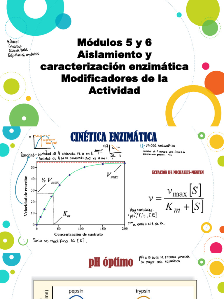 M C3 B3dulos - 5y 6 | PDF | Proteínas | Tirosina